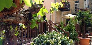 View 25 photos and read 550 reviews. Garden Living Boutique Hotel Geheimtipp In Berlin Mitte