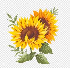 Download sunflower painting images and photos. Yellow Sunflower Illustration France Pixe8ce Montxe9e Recipe Cuisine Two Sunflower Painting Love Watercolor Painting Painted Png Pngwing