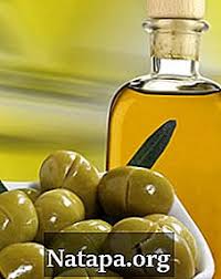 Perbedaan Antara Minyak Zaitun Dan Minyak Almond Perbedaan Antara 2021