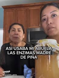 Benefits and Uses of Pineapple Mother Enzymes