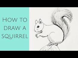 We did not find results for: How To Draw A Squirrel Easy Tutorial 5 Steps Toons Mag
