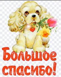 Открытки otkritka