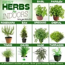 Indoor Gardening The Best Herbs For Indoors Growing Herbs Indoors Container Herb Garden Best Herbs To Grow