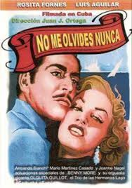 CAMINANDO EN EL TIEMPO: NO ME OLVIDES NUNCA