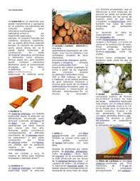 Conejos han hecho heridas en troncos de árbol acer platanoides. Calameo Los Materiales