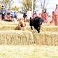 The Great Nundle Dog Race 2026 event image
