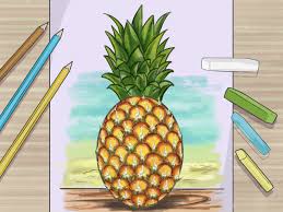 how to draw a pineapple 9 steps with pictures wikihow