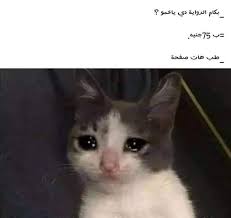 Pin By Disney On كلمات In 2020 Funny Pictures Funny Arabic Quotes Arabic Funny