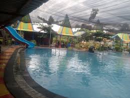 Lokasi Dan Harga Tiket Masuk Wisata Kolam Renang Kampoeng Durian Mojoagung Jombang Wisata Negeriku