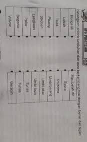 Jagung, pohon manga, bunga sepatu, pohon salak, dan sebagainya. Bantu Yak Plis Kelas 6 Brainly Co Id