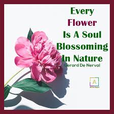 And be sure to smell the flowers along the way. Flower Quotes And Sayings Life Quotes About Flowers