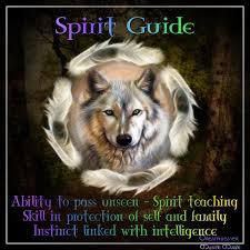 We did not find results for: Native American Wolf Spirit Animal Novocom Top