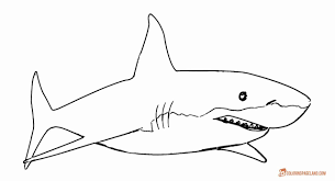 Great White Shark Coloring Page Lovely Great White Shark Coloring Pages Downloadable And Shark Coloring Pages Coloring Pages Great White Shark Pictures
