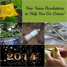 Green New Year Resolutions Ideas For Small Carbon Footprints Go Green New Years Resolution Newyear