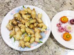 冬天室内种生姜 food chicken meat