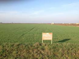 Maybe you would like to learn more about one of these? Reguli Pentru VanzÄrile De Terenuri Agricole Extravilane Stiri Utile