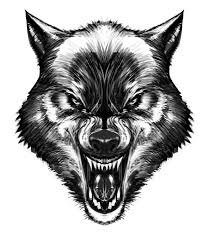 Wolf Biz20 Wolf Face Wolf Face Drawing Wolf Tattoos