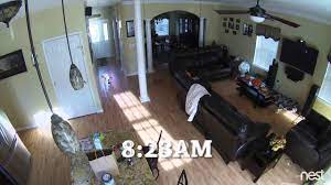 I don't mind at all. Roomba Spreads Dog Poop Youtube