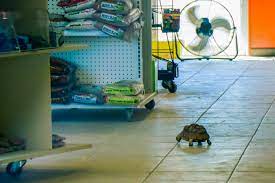 Online ebonus cards will be delivered via email after purchase. Exotic Pet Store Nearly Triples In Size At New Location In Centralia The Daily Chronicle