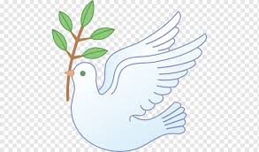 Imagen con paloma y lazo de luto para que un ser querido descanse en paz. Ilustracion De Paloma Blanca Palomas Columbidas Como Simbolos Paloma S Hoja Mano Aceituna Png Pngwing