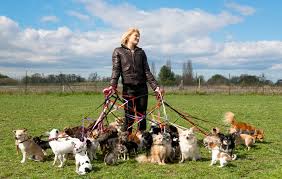 According to more specific 2020 data from payscale, here's what a professional dog walker in particular can make on an hourly basis: How Much To Charge For Dog Walking Happy Customers Good Cash M Dog Your Friend For Dogs Tips And Guides