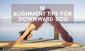 10 Alignment Tips To Improve Your Downward Dog Downward Dog Yoga Postures Yoga Poses