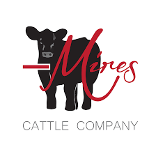 Pin On Mlm Logo Designs