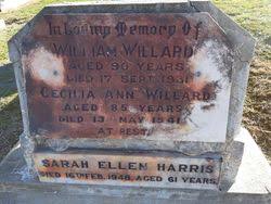 Cecelia Ann Burton Willard (1857-1941)