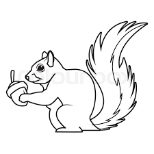Check spelling or type a new query. Cute Squirrel Eats Nut Nature Wildlife Stock Vector Colourbox