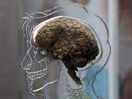 What Is Cotard S Syndrome The Rare Mental Illness Which Makes People Think They Are Dead The Independent The Independent
