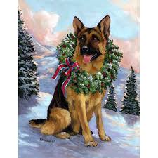 German Shepherd Christmas Photography Christmas Animals Dog Holiday Christmas Dog