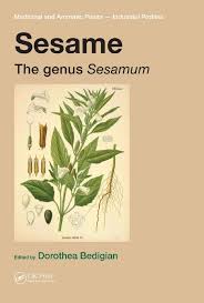 Image result for Sesamum angolense