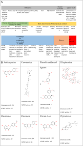 Soy luna s1 ep 2. Future Prospects For Dissecting Inter Individual Variability In The Absorption Distribution And Elimination Of Plant Bioactives Of Relevance For Cardiometabolic Endpoints Springerlink