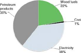 Participation Of Certain Fuels In Total Final Energy