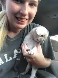 Lily, Soli, MRmr and Davy SPONSORED for March by Susan Susie Metcalf ❤