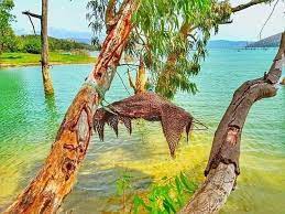 pin by ahmed bakr on رسومات زخرفية in 2020 outdoor decor outdoor furniture decor