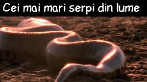 In primul rand, perioada cuprinsa intre prima zi a cicl. Top 5 Cei Mai Mari È™erpi Din Lume Youtube