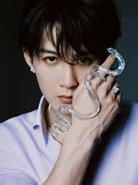 Chinese New Year Snake Please