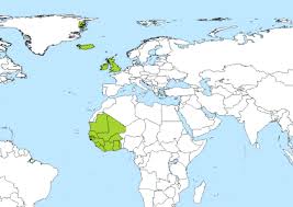 Eastern time comprises of eastern standard time (est) and eastern daylight time (edt) zones. Mez To Gmt Converter Savvy Time