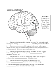 Nervous System Worksheet High School Brain Parts Fill In The Blank Color With Images In 2020 Biology Worksheet Nervous System Lesson Worksheets For Kids