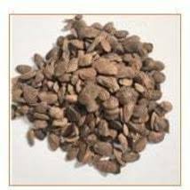 Image result for Hunteria