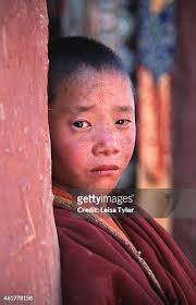 175 Nojp Stock Photos, High-Res Pictures, and Images