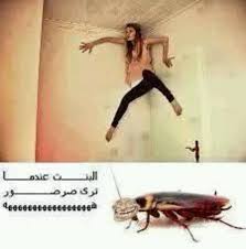 Dropbox Monday Jan 19 Funny Photo Memes Fun Quotes Funny Crazy Funny Memes