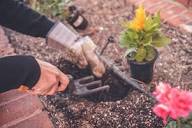 5 consejos para una jardinería sostenible