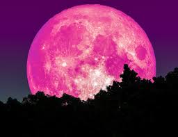 Fenomen Extraordinar Pe Cer Cand Poate Fi Observata Luna Roz