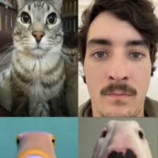 Stream 𝕾𝖎𝖒𝖇𝖆'𝖘 𝕳𝖊𝖆𝖗𝖙 music