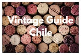 Chile Vintage Guide South America Wine Guide