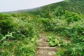 Image result for Hakkoda Walk