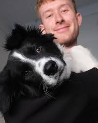 Declan Harrison (@declan.harro) • Instagram photos and videos