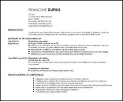 Assistance informatique et internet à domicile. Exemple De Cv Operatrice De Saisie Informatique Exemples Modeles De Cv